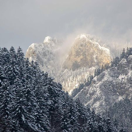 Ubytovanie U Jozefa Červený Kláštor Exteriör bild