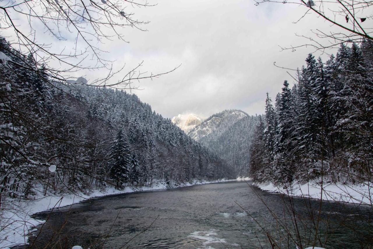 Ubytovanie U Jozefa Červený Kláštor Exteriör bild